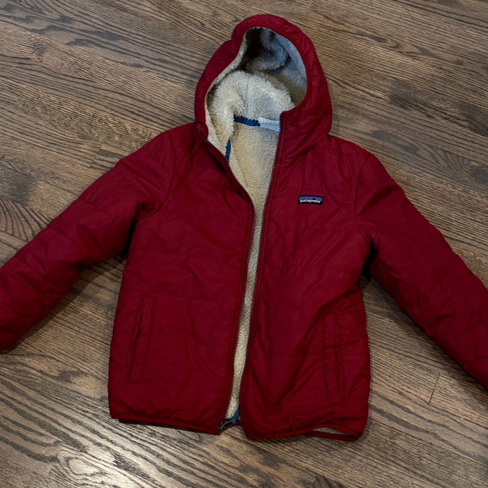 Patagonia Kids Crimson Hooded Puffer Jacket